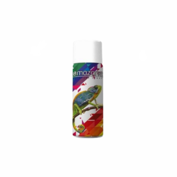 POMPE PEINTURE AMAZONE